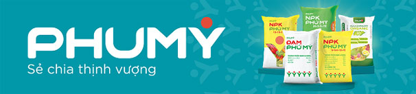 phu-my-se-chia-thinh-vuong