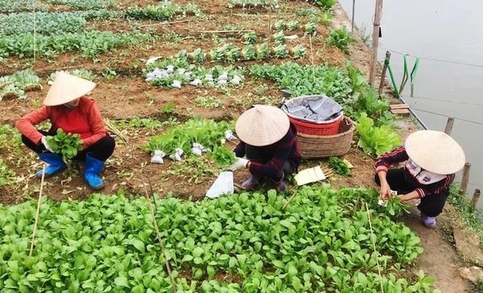 Xây dựng tiêu chí chuẩn nghèo mới về thu nhập và bộ chỉ số thiếu hụt dịch vụ xã hội