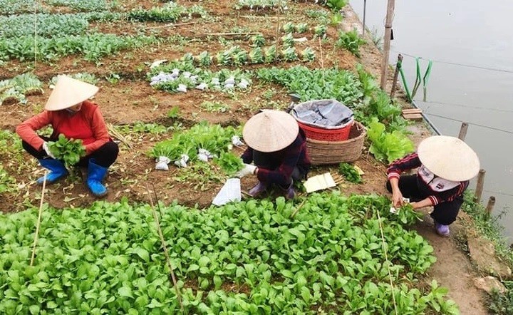 Xây dựng tiêu chí chuẩn nghèo mới về thu nhập và bộ chỉ số thiếu hụt dịch vụ xã hội