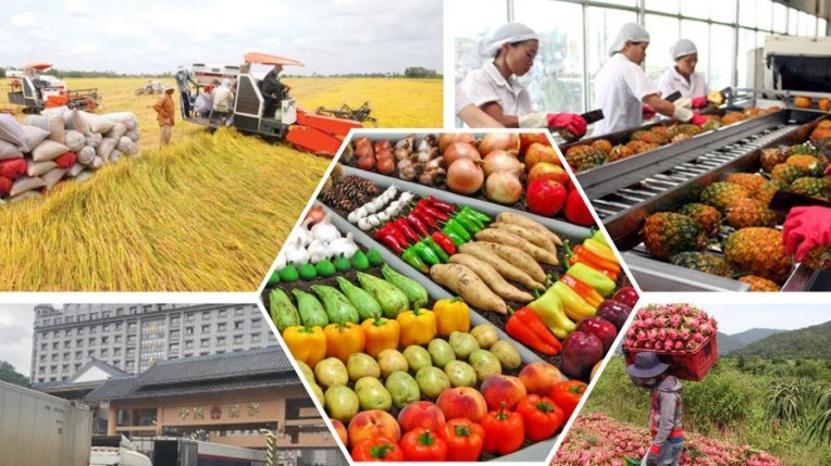 Tháo gỡ điểm nghẽn hoàn thuế và hỗ trợ phục hồi nông nghiệp sau bão lũ Tháo gỡ điểm nghẽn hoàn thuế và hỗ trợ phục hồi nông nghiệp sau bão lũ