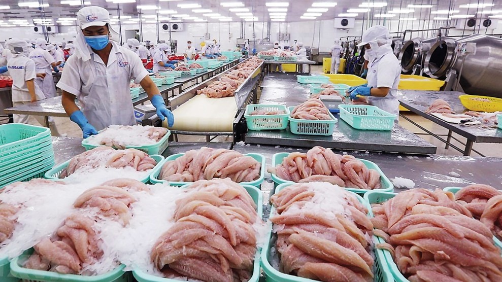 Cơ hội mở rộng xuất khẩu cá tra sang thị trường EU