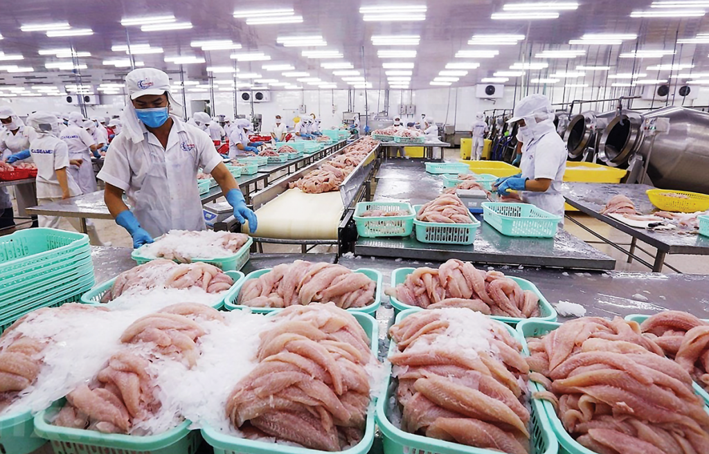 Cơ hội mở rộng xuất khẩu cá tra sang thị trường EU Cơ hội mở rộng xuất khẩu cá tra sang thị trường EU