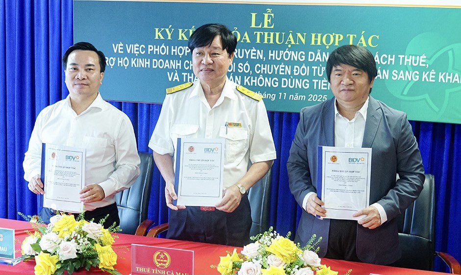 Thuế Vĩnh Long, Cà Mau đồng loạt hỗ trợ hộ kinh doanh chuyển đổi sang kê khai Thuế Vĩnh Long, Cà Mau đồng loạt hỗ trợ hộ kinh doanh chuyển đổi sang kê khai