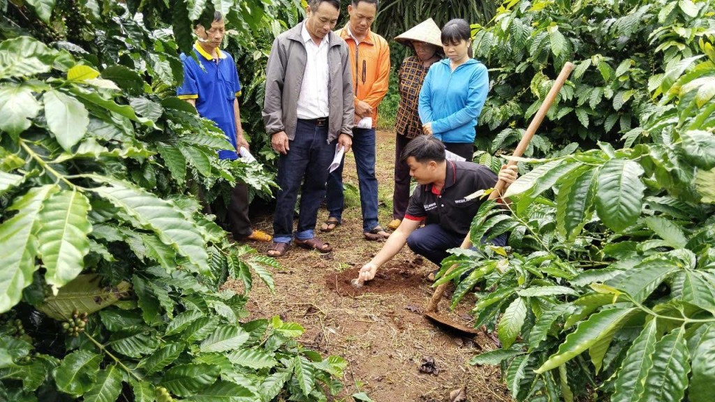 Hợp tác thúc đẩy tăng trưởng bền vững và hiện thực hóa mục tiêu Net Zero tại Việt Nam