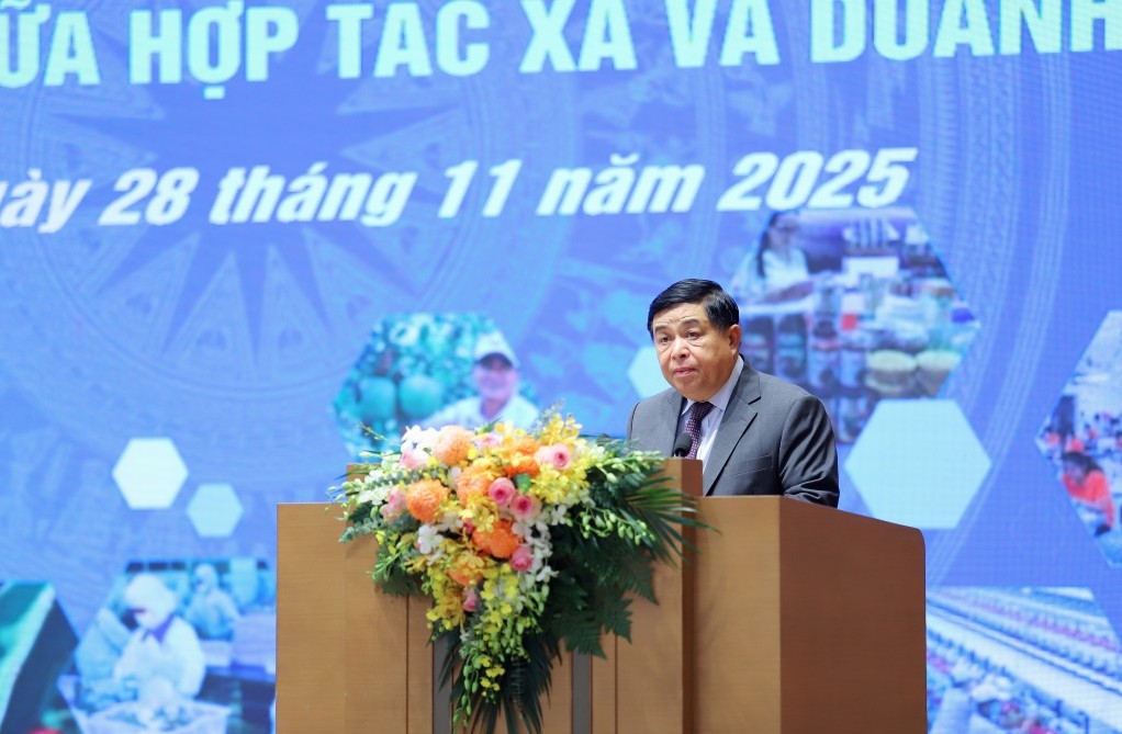 Hợp tác xã kết nối doanh nghiệp: Hướng đi mới cho nền kinh tế bền vững và toàn diện