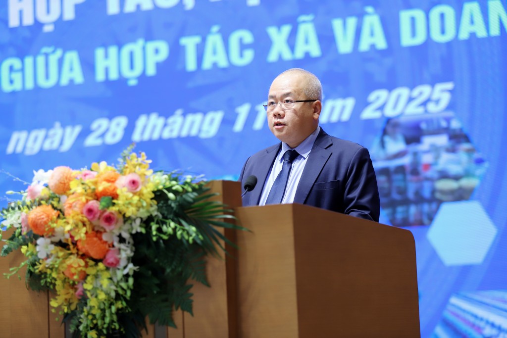 Hợp tác xã - Doanh nghiệp: Liên kết để nâng tầm giá trị kinh tế Hợp tác xã - Doanh nghiệp: Liên kết để nâng tầm giá trị kinh tế