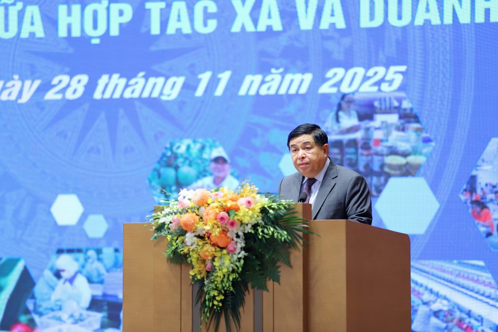 Hợp tác xã kết nối doanh nghiệp: Hướng đi mới cho nền kinh tế bền vững và toàn diện Hợp tác xã kết nối doanh nghiệp: Hướng đi mới cho nền kinh tế bền vững và toàn diện