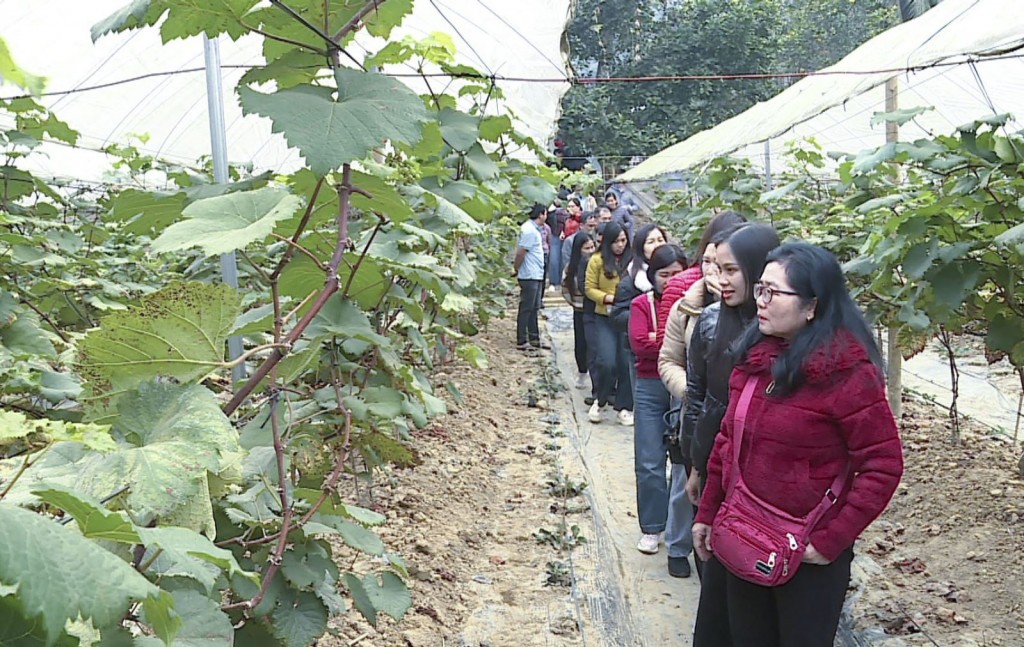 Đổi mới về tư duy và cách làm trong các mô hình giảm nghèo bền vững