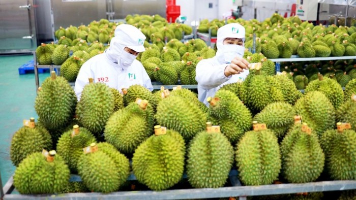 Nông sản Việt tăng tốc, rộng cửa thâm nhập thị trường Trung Quốc