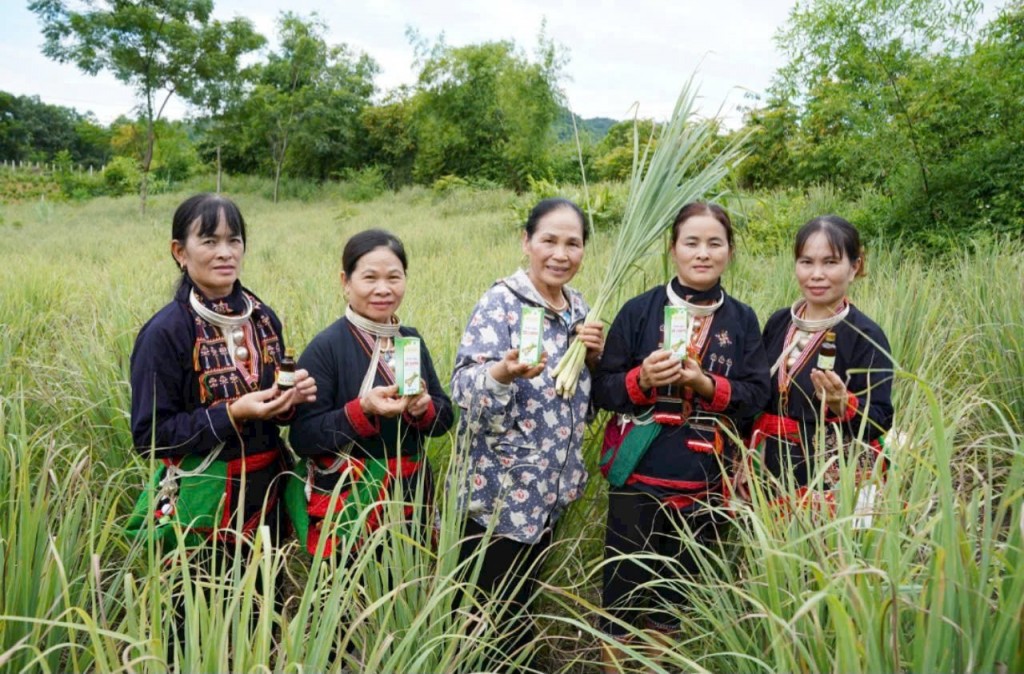 Phát huy vai trò của phụ nữ trong công tác giảm nghèo bền vững Phát huy vai trò của phụ nữ trong công tác giảm nghèo bền vững