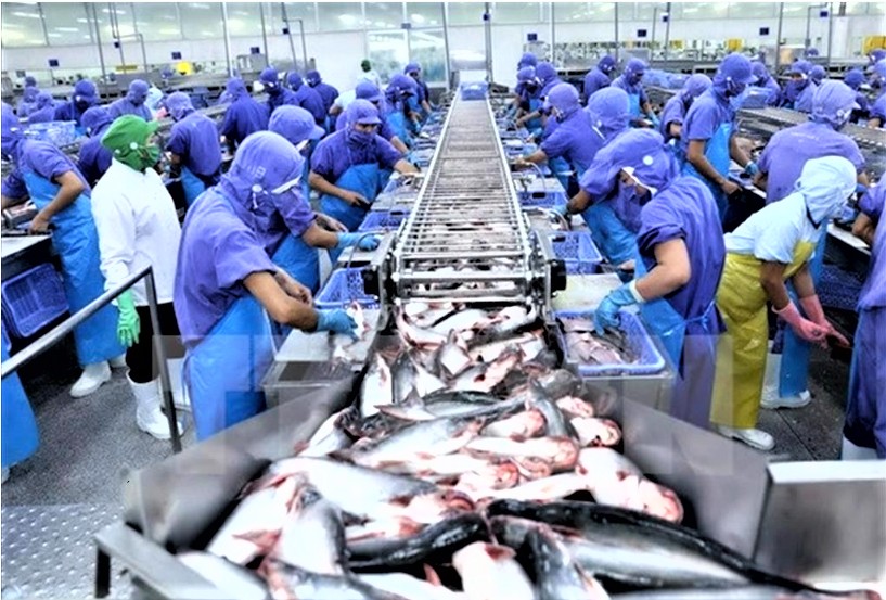 Thủy sản duy trì đà tăng trưởng nhờ các nhóm hàng chủ lực