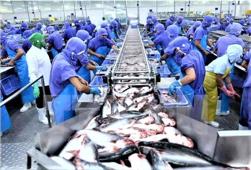 Thủy sản duy trì đà tăng trưởng nhờ các nhóm hàng chủ lực Thủy sản duy trì đà tăng trưởng nhờ các nhóm hàng chủ lực