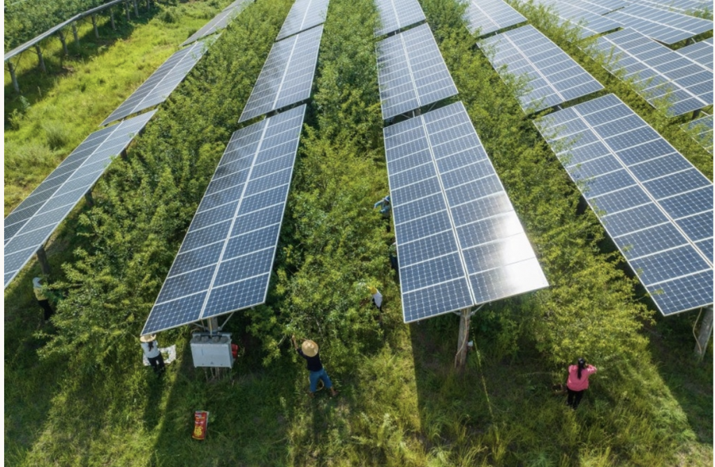 Khơi thông nguồn lực tư nhân trong lĩnh vực năng lượng