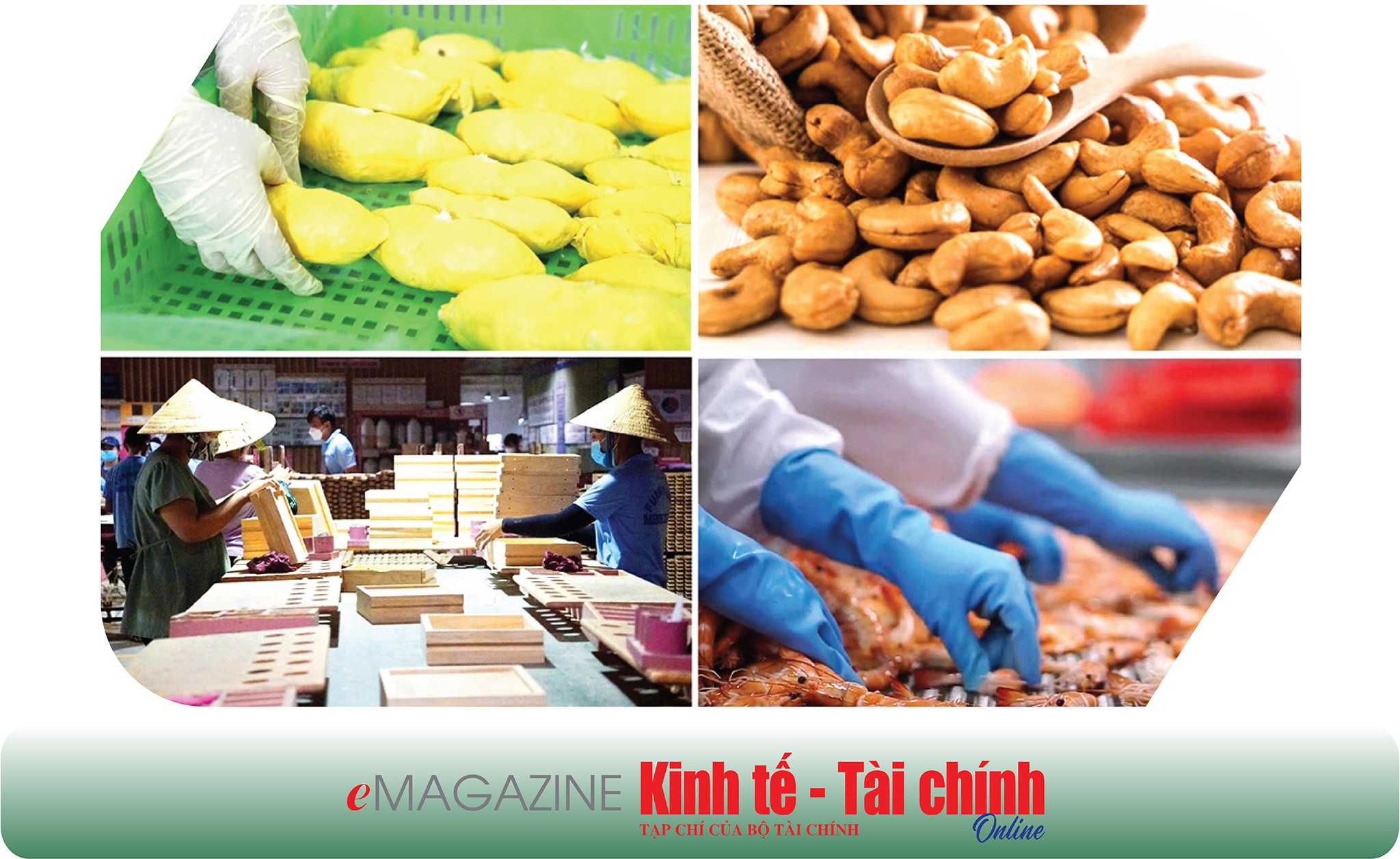 EMAGAZINE: Thích ứng với Luật Thuế Giá trị gia tăng 2024: Bài toán sống còn của doanh nghiệp nông - lâm - ngư nghiệp