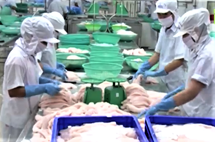 11 tháng 2025, Việt Nam xuất siêu 20,53 tỷ USD