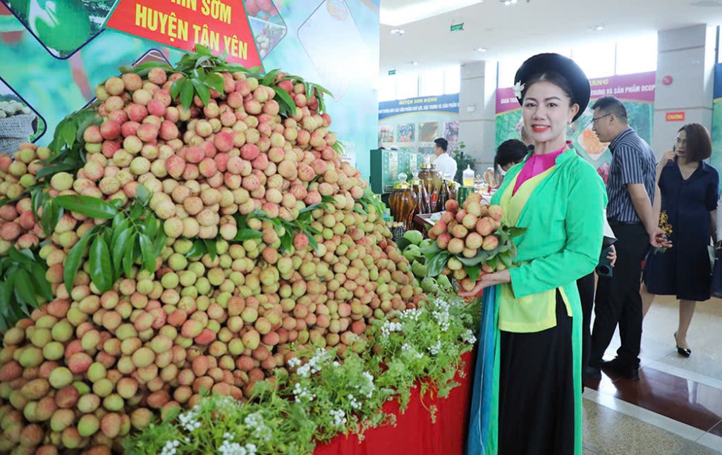 Mô hình OCOP - Điểm sáng trong xây dựng nông thôn mới ở Bắc Ninh Mô hình OCOP - Điểm sáng trong xây dựng nông thôn mới ở Bắc Ninh