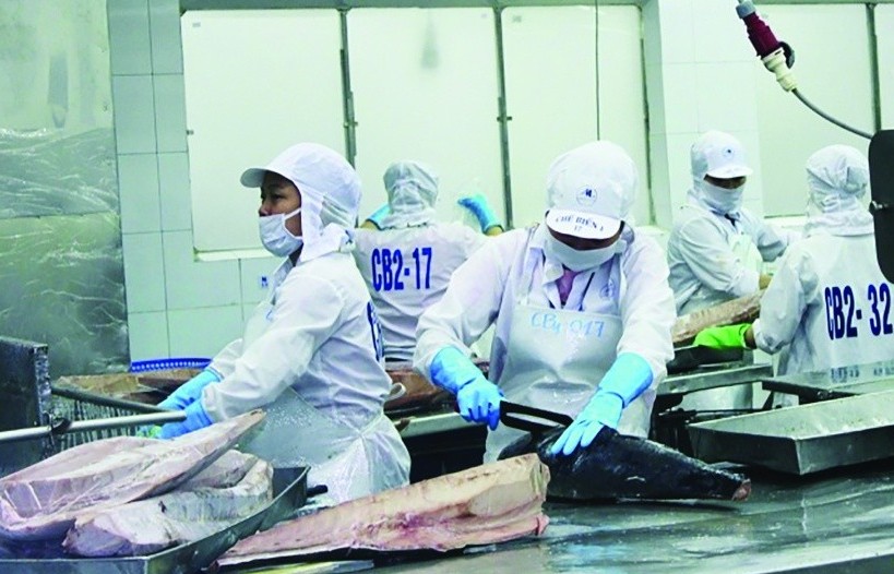 Xuất khẩu thủy sản dự kiến lập kỷ lục mới