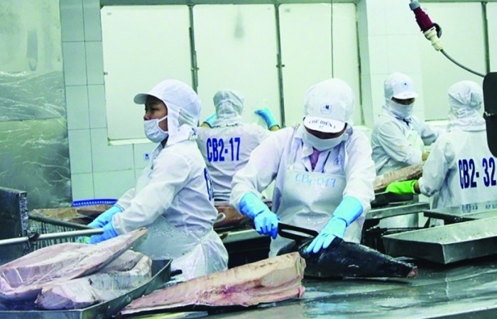 Xuất khẩu thủy sản dự kiến lập kỷ lục mới