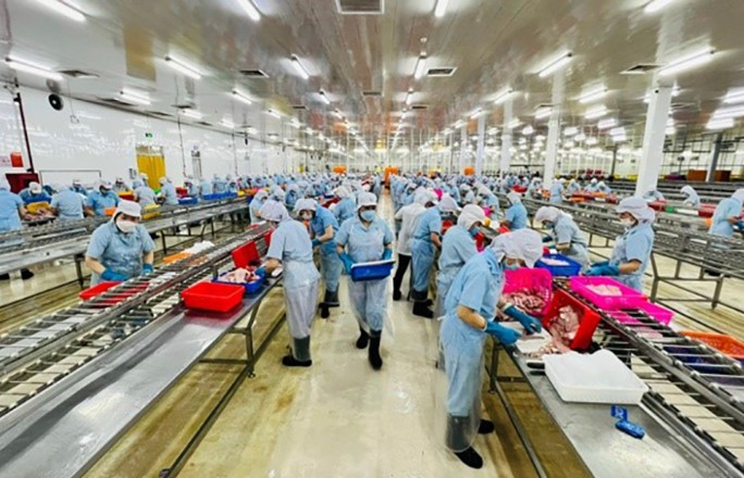 Công nghiệp An Giang duy trì đà tăng trưởng, tiếp tục là động lực kinh tế chủ lực