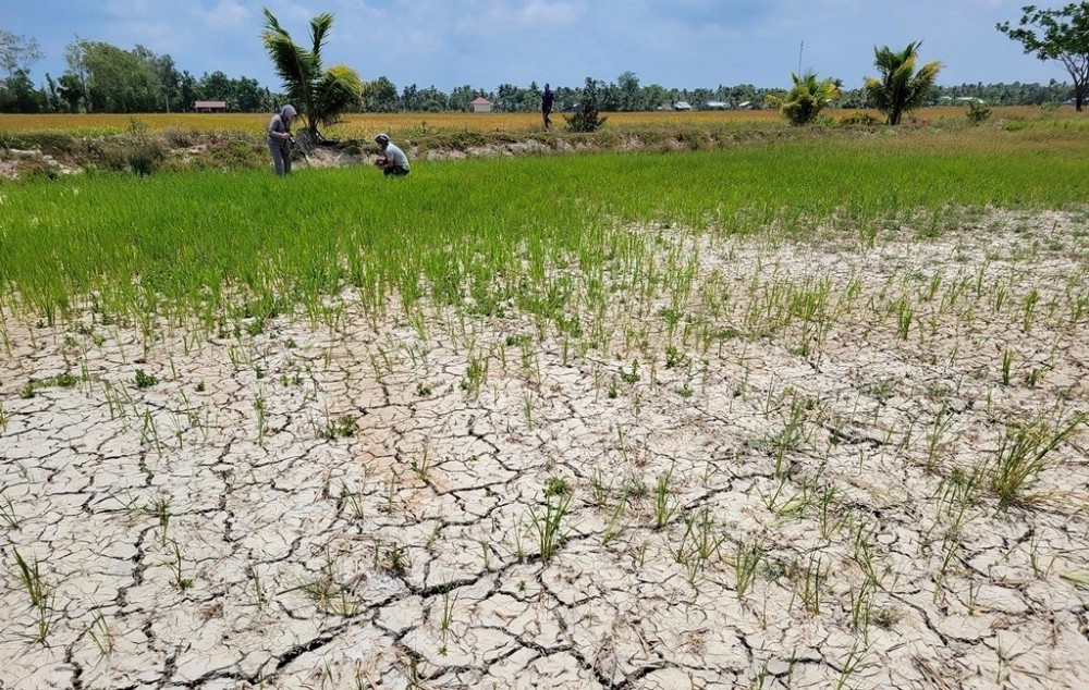 Biến đổi khí hậu có thể khiến Việt Nam mất khoảng 12% đến 14,5% GDP mỗi năm vào năm 2050. Biến đổi khí hậu có thể khiến Việt Nam mất khoảng 12% đến 14,5% GDP mỗi năm vào năm 2050.