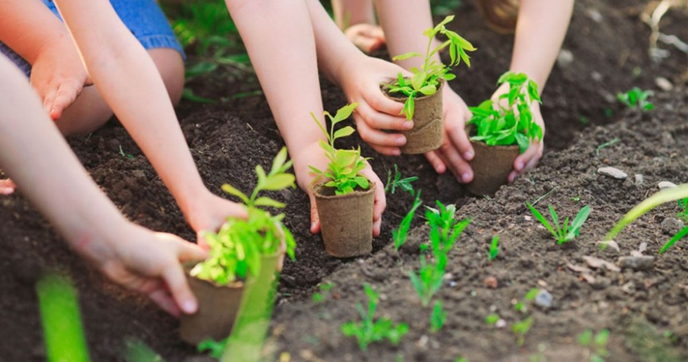 Việt Nam trồng thêm 1,4 tỷ cây xanh góp sức ứng phó biến đổi khí hậu