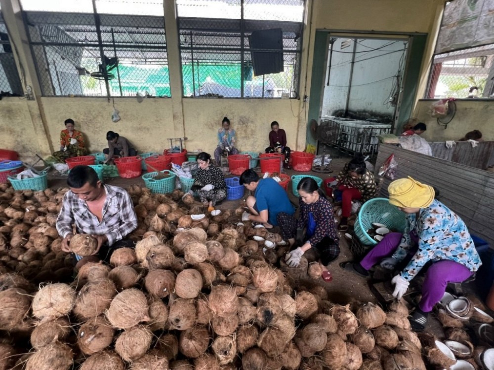 Phát triển kinh tế tập thể, hợp tác xã theo mô hình xanh, tuần hoàn Phát triển kinh tế tập thể, hợp tác xã theo mô hình xanh, tuần hoàn