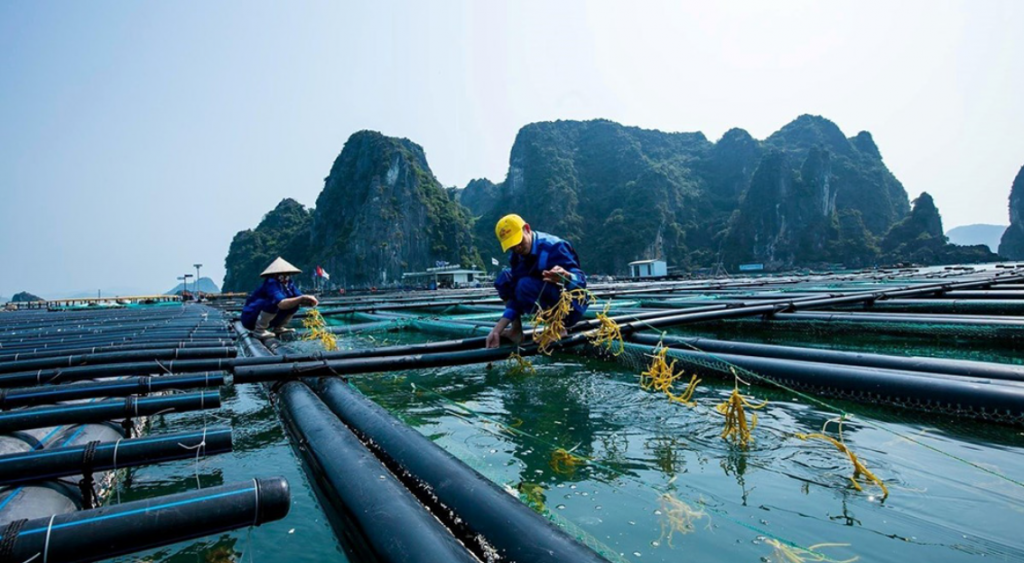 Phục hồi sau mưa bão, nông nghiệp nhiều lĩnh vực duy trì đà tăng trưởng