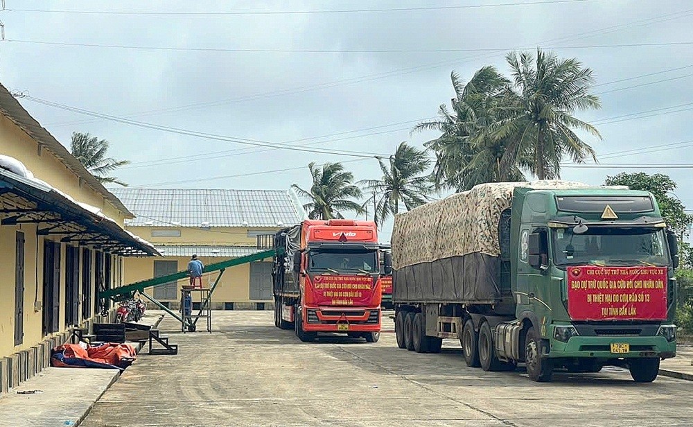 Tăng cường quản lý hàng dự trữ quốc gia đảm bảo chặt chẽ, hiệu quả Tăng cường quản lý hàng dự trữ quốc gia đảm bảo chặt chẽ, hiệu quả