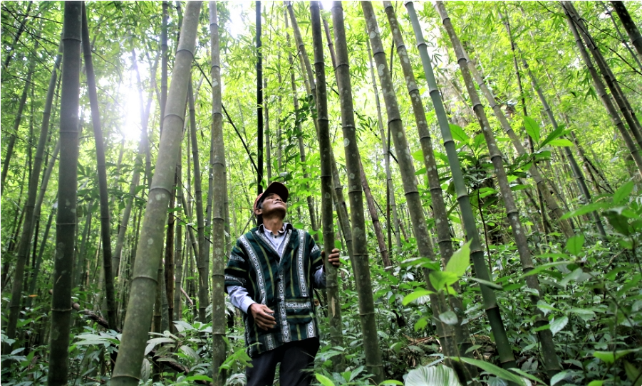 Thanh Hóa phát triển chuỗi liên kết nông - lâm nghiệp, tạo nền tảng cho tăng trưởng bền vững