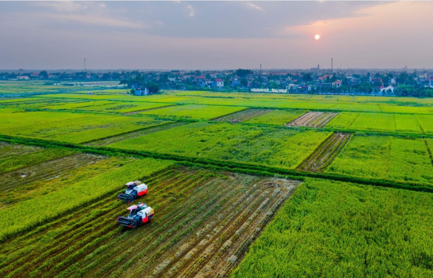 Hải Phòng triển khai “khám sức khỏe đất” từ năm 2026 để nâng chất nông sản