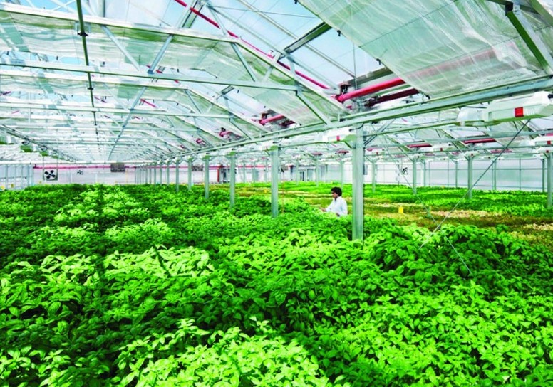 Thanh Hóa phát triển chuỗi liên kết nông - lâm nghiệp, tạo nền tảng cho tăng trưởng bền vững