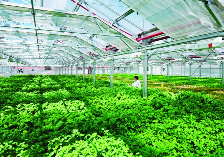 Thanh Hóa phát triển chuỗi liên kết nông - lâm nghiệp, tạo nền tảng cho tăng trưởng bền vững