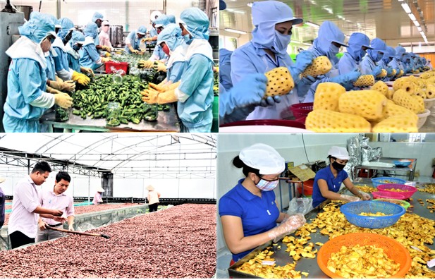 Đẩy mạnh chế biến sâu, Đồng Nai nâng tầm giá trị nông sản