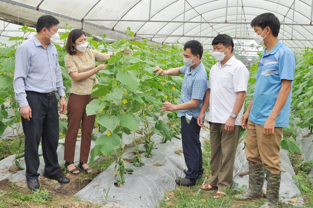 Đo “sức khỏe thể chế” qua môi trường kinh doanh của hợp tác xã