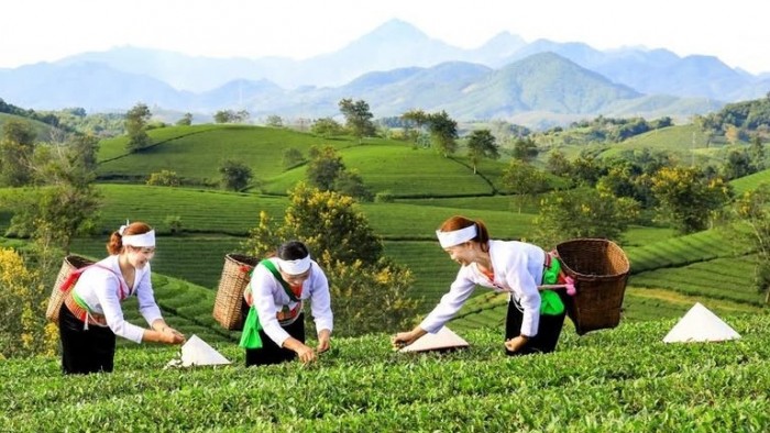 Sửa đổi quy định quản lý kinh phí sự nghiệp thực hiện các chương trình mục tiêu quốc gia