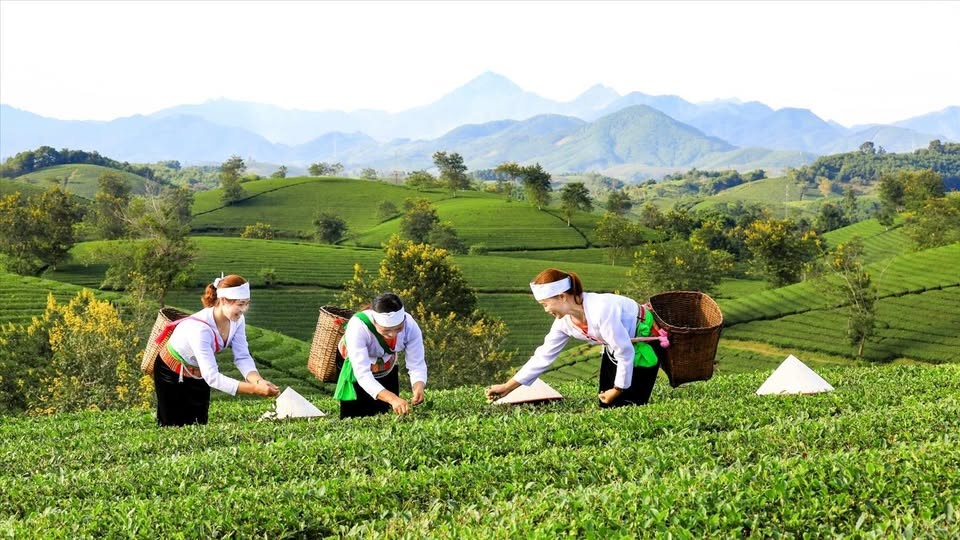 Sửa đổi quy định quản lý kinh phí sự nghiệp thực hiện các chương trình mục tiêu quốc gia