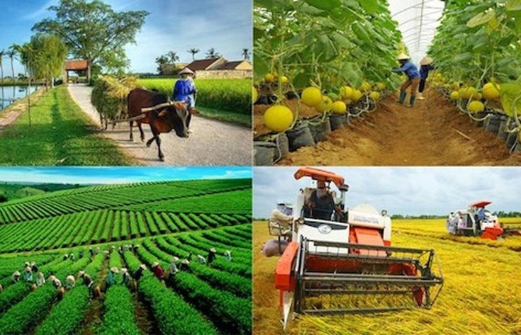 ADB và BIDV hỗ trợ nông nghiệp bền vững và trao quyền cho phụ nữ ở Việt Nam