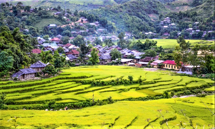 Điện Biên tập trung nhân rộng mã số vùng trồng, nâng cao năng lực cạnh tranh nông sản