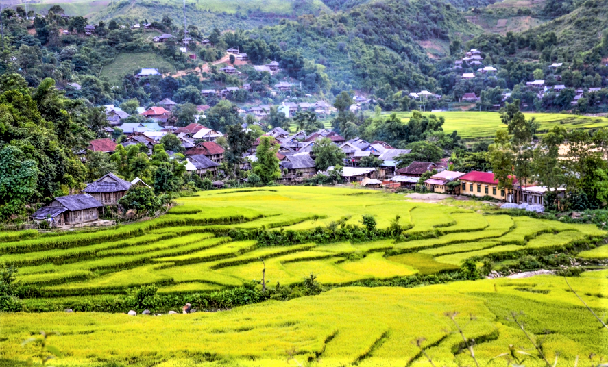 Điện Biên tập trung nhân rộng mã số vùng trồng, nâng cao năng lực cạnh tranh nông sản