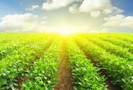 Ảnh minh họa. Nguồn: Internet