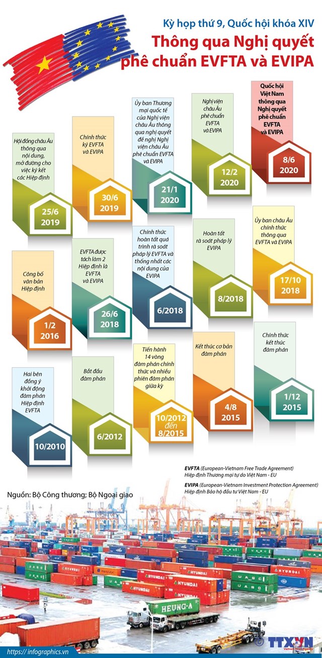 [Infographics] Quốc hội thông qua Nghị quyết phê chuẩn EVFTA và EVIPA - Ảnh 1