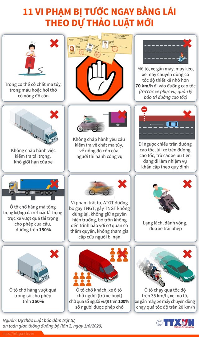 [Infographics] 11 vi phạm bị tước ngay bằng lái theo dự thảo luật mới - Ảnh 1