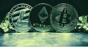 Ảnh minh họa. Nguồn: Internet.