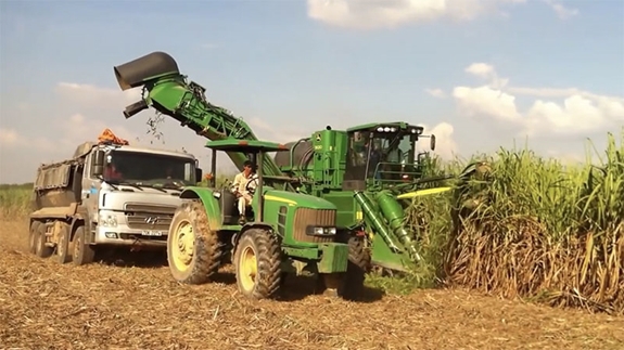 Ảnh minh họa. Nguồn: Internet