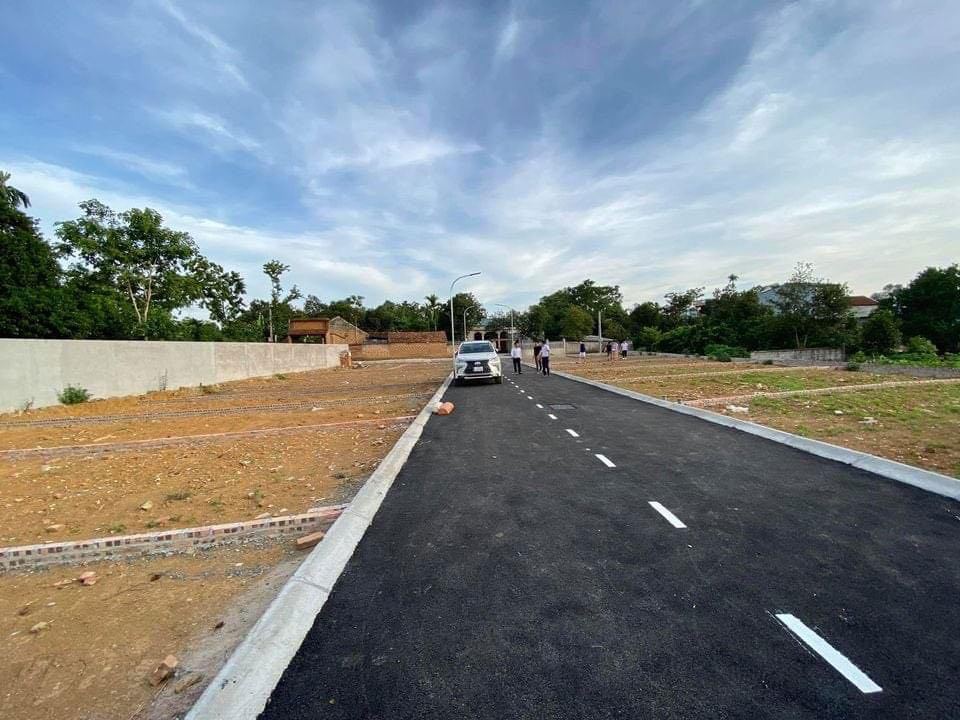 Ảnh minh họa. Nguồn: internet