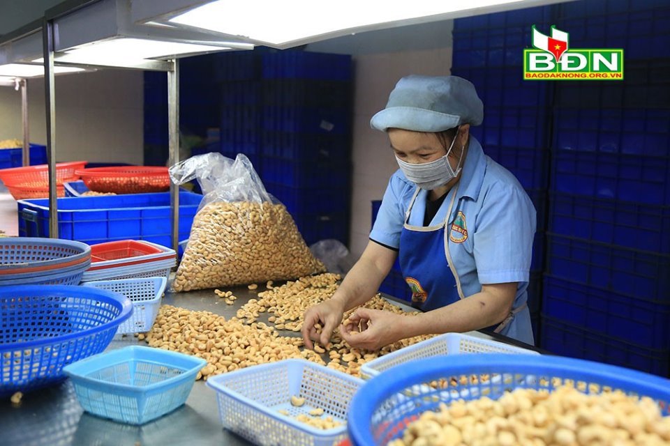 Công ty TNHH Hồng Đức giảm số lao động làm việc đã ảnh hưởng tới công suất. Ảnh: Lê Phước