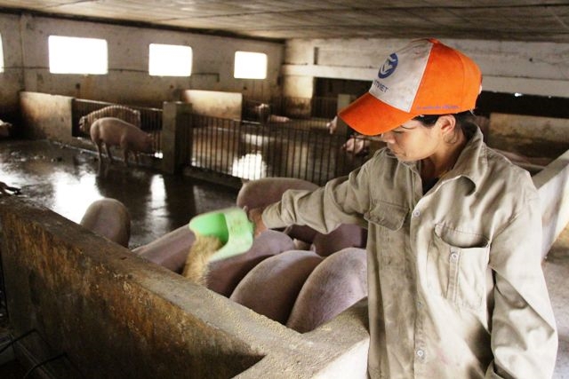 Ảnh minh họa. Nguồn: internet