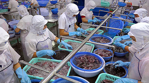 Chế biến xuất khẩu thủy sản. Ảnh: N.Lân