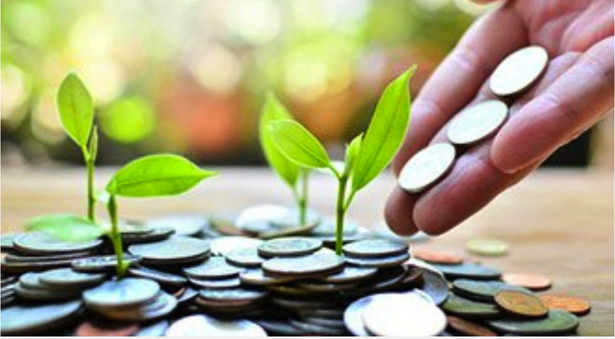 Ảnh minh họa. Nguồn: internet