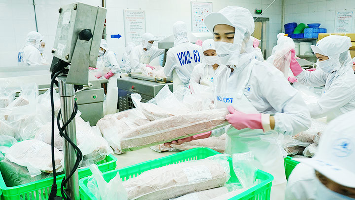 Việc ký Hiệp định EVFTA giúp nhiều ngành hàng xuất khẩu mở rộng thị trường. Ảnh: Hải Đông.